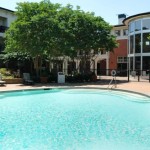 Marquis on Gaston Apartment Pool
