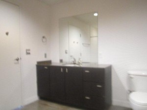 Mosaic Highrise Apartment Bath Room