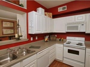 Northbridge in the Village Apartment Kitchen