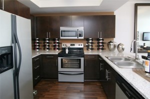 Park 4200 Apartment Kitchen.