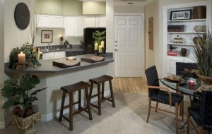 Post Meridian Apartment Kitchen