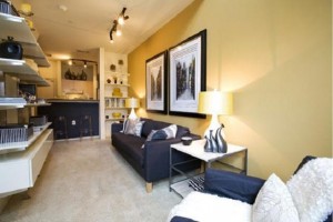Post Uptown Village Apartment Family Room