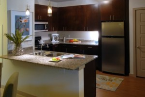 The Avery on Southwestern Apartment Kitchen