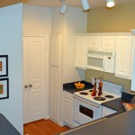 The Milo Apartment Kitchen