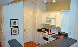 The Milo Apartment Kitchen