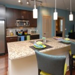 The Standard Apartment Kitchen