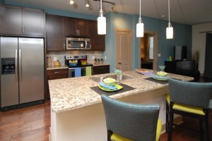 The Standard Apartment Kitchen