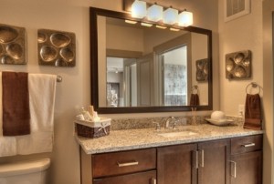 The Standard Apartment Washroom