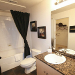 Vue Live Oak Apartment Bath Room