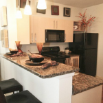 Vue Live Oak Apartment Kitchen