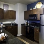 White Rock Lake Apartment Kitchen.