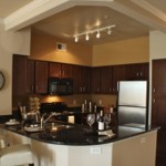 White Rock Lake Apartment Kitchen
